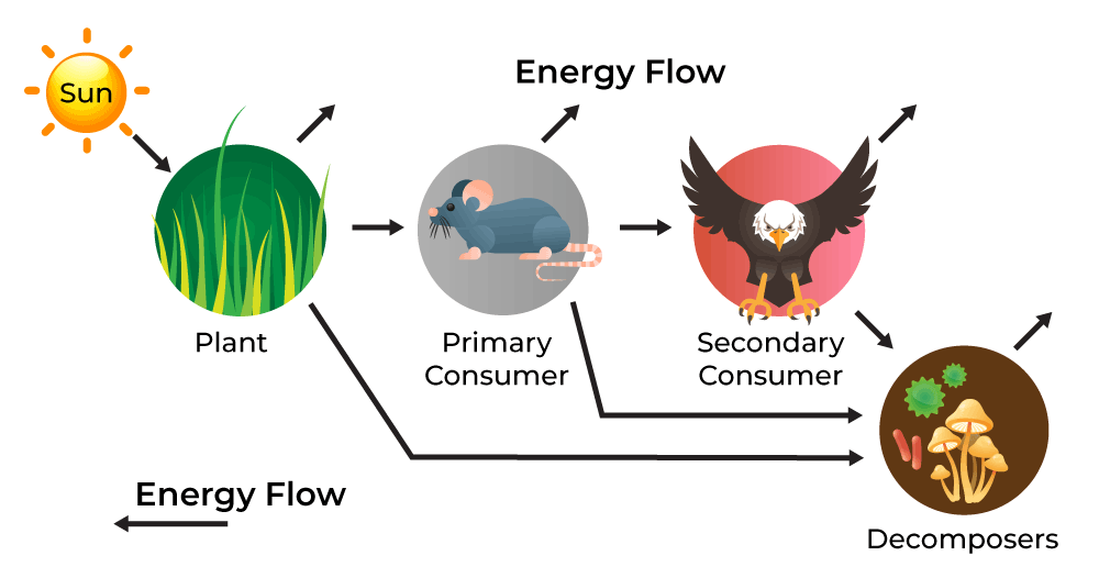 Energy-flow